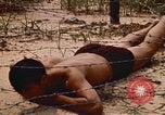 Immagine di Cheiu Hoi Il Vietnam, 1971, secondo 47 filmato di repertorio 65675032704