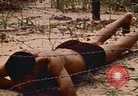 Immagine di Cheiu Hoi Il Vietnam, 1971, secondo 56 filmato di repertorio 65675032704