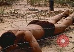 Immagine di Cheiu Hoi Il Vietnam, 1971, secondo 58 filmato di repertorio 65675032704
