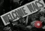 Immagine di Donna Esercito Australia, 1944, secondo 41 filmato di repertorio 65675032707