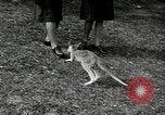 Immagine di Donne Esercito Australia, 1944, secondo 53 filmato di repertorio 65675032708