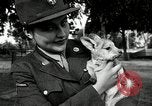 Immagine di Donne Esercito Australia, 1944, secondo 59 filmato di repertorio 65675032708