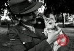 Immagine di Donne Esercito Australia, 1944, secondo 60 filmato di repertorio 65675032708