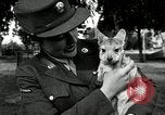 Immagine di Donne Esercito Australia, 1944, secondo 61 filmato di repertorio 65675032708