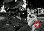 Immagine di Donne Esercito Australia, 1944, secondo 62 filmato di repertorio 65675032708
