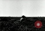 Image of American artillery barrage against German forces Italy, 1944, second 7 stock footage video 65675032709