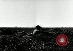 Image of American artillery barrage against German forces Italy, 1944, second 8 stock footage video 65675032709