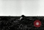 Image of American artillery barrage against German forces Italy, 1944, second 9 stock footage video 65675032709