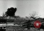 Image of American artillery barrage against German forces Italy, 1944, second 57 stock footage video 65675032709