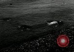 Immagine di Allied vittime dopo Dieppe Raid Francia, 1942, secondo 6 filmato di repertorio 65675032713