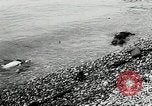 Immagine di Allied vittime dopo Dieppe Raid Francia, 1942, secondo 8 filmato di repertorio 65675032713