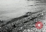 Immagine di Allied vittime dopo Dieppe Raid Francia, 1942, secondo 9 filmato di repertorio 65675032713