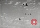 Image of United States fleet United States USA, 1933, second 23 stock footage video 65675032731