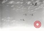 Image of United States fleet United States USA, 1933, second 24 stock footage video 65675032731