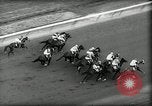 Image of Wood Memorial horse race Queens New York City USA, 1962, second 16 stock footage video 65675032768