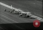 Image of Wood Memorial horse race Queens New York City USA, 1962, second 41 stock footage video 65675032768
