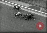 Image of Wood Memorial horse race Queens New York City USA, 1962, second 51 stock footage video 65675032768