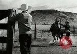 Standbild Arbeitsaktivitäten auf einer Farm und Ranch in Texas United States USA, 1943, aus Sekunde 12 historischem Filmmaterial Videoclip 65675032776