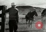 Standbild Arbeitsaktivitäten auf einer Farm und Ranch in Texas United States USA, 1943, aus Sekunde 16 historischem Filmmaterial Videoclip 65675032776
