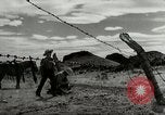 Standbild Arbeitsaktivitäten auf einer Farm und Ranch in Texas United States USA, 1943, aus Sekunde 43 historischem Filmmaterial Videoclip 65675032776
