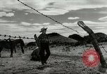 Standbild Arbeitsaktivitäten auf einer Farm und Ranch in Texas United States USA, 1943, aus Sekunde 46 historischem Filmmaterial Videoclip 65675032776