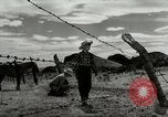 Standbild Arbeitsaktivitäten auf einer Farm und Ranch in Texas United States USA, 1943, aus Sekunde 47 historischem Filmmaterial Videoclip 65675032776