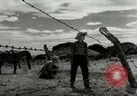 Standbild Arbeitsaktivitäten auf einer Farm und Ranch in Texas United States USA, 1943, aus Sekunde 48 historischem Filmmaterial Videoclip 65675032776