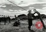 Standbild Arbeitsaktivitäten auf einer Farm und Ranch in Texas United States USA, 1943, aus Sekunde 49 historischem Filmmaterial Videoclip 65675032776