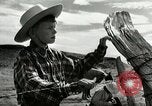 Standbild Arbeitsaktivitäten auf einer Farm und Ranch in Texas United States USA, 1943, aus Sekunde 54 historischem Filmmaterial Videoclip 65675032776
