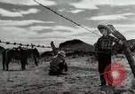 Standbild Arbeitsaktivitäten auf einer Farm und Ranch in Texas United States USA, 1943, aus Sekunde 56 historischem Filmmaterial Videoclip 65675032776