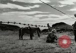 Standbild Arbeitsaktivitäten auf einer Farm und Ranch in Texas United States USA, 1943, aus Sekunde 58 historischem Filmmaterial Videoclip 65675032776