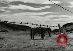 Standbild Arbeitsaktivitäten auf einer Farm und Ranch in Texas United States USA, 1943, aus Sekunde 59 historischem Filmmaterial Videoclip 65675032776
