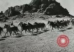 Standbild Roundup der wilden Pferde United States USA, 1943, aus Sekunde 3 historischem Filmmaterial Videoclip 65675032777