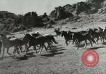 Standbild Roundup der wilden Pferde United States USA, 1943, aus Sekunde 4 historischem Filmmaterial Videoclip 65675032777