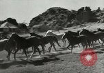 Standbild Roundup der wilden Pferde United States USA, 1943, aus Sekunde 5 historischem Filmmaterial Videoclip 65675032777