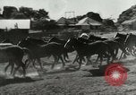 Standbild Roundup der wilden Pferde United States USA, 1943, aus Sekunde 6 historischem Filmmaterial Videoclip 65675032777