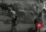Standbild Roundup der wilden Pferde United States USA, 1943, aus Sekunde 12 historischem Filmmaterial Videoclip 65675032777
