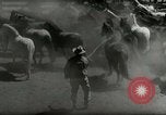 Standbild Roundup der wilden Pferde United States USA, 1943, aus Sekunde 13 historischem Filmmaterial Videoclip 65675032777