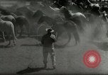 Standbild Roundup der wilden Pferde United States USA, 1943, aus Sekunde 14 historischem Filmmaterial Videoclip 65675032777