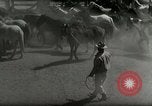Standbild Roundup der wilden Pferde United States USA, 1943, aus Sekunde 15 historischem Filmmaterial Videoclip 65675032777