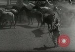 Standbild Roundup der wilden Pferde United States USA, 1943, aus Sekunde 16 historischem Filmmaterial Videoclip 65675032777