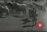 Standbild Roundup der wilden Pferde United States USA, 1943, aus Sekunde 17 historischem Filmmaterial Videoclip 65675032777