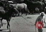 Standbild Roundup der wilden Pferde United States USA, 1943, aus Sekunde 18 historischem Filmmaterial Videoclip 65675032777