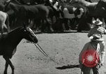 Standbild Roundup der wilden Pferde United States USA, 1943, aus Sekunde 19 historischem Filmmaterial Videoclip 65675032777