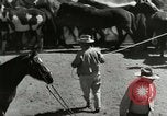 Standbild Roundup der wilden Pferde United States USA, 1943, aus Sekunde 20 historischem Filmmaterial Videoclip 65675032777