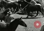Standbild Roundup der wilden Pferde United States USA, 1943, aus Sekunde 21 historischem Filmmaterial Videoclip 65675032777