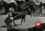 Standbild Roundup der wilden Pferde United States USA, 1943, aus Sekunde 22 historischem Filmmaterial Videoclip 65675032777