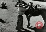 Standbild Roundup der wilden Pferde United States USA, 1943, aus Sekunde 25 historischem Filmmaterial Videoclip 65675032777