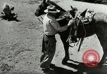 Standbild Roundup der wilden Pferde United States USA, 1943, aus Sekunde 26 historischem Filmmaterial Videoclip 65675032777