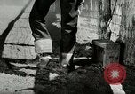 Standbild Roundup der wilden Pferde United States USA, 1943, aus Sekunde 28 historischem Filmmaterial Videoclip 65675032777